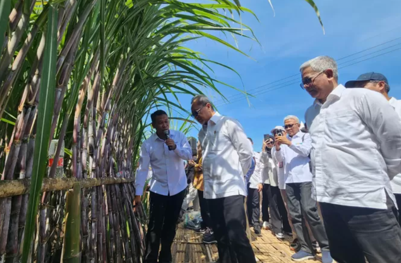 Zulkifli Hasan