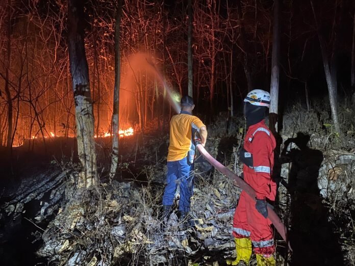 Kebakaran Hutan dan Lahan di Indonesia